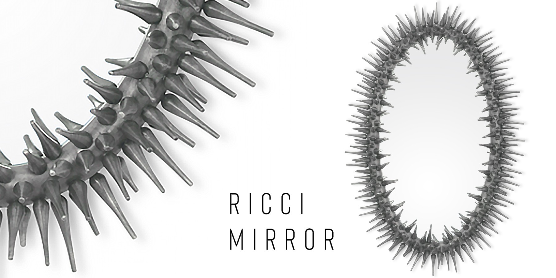 Ricci mirror